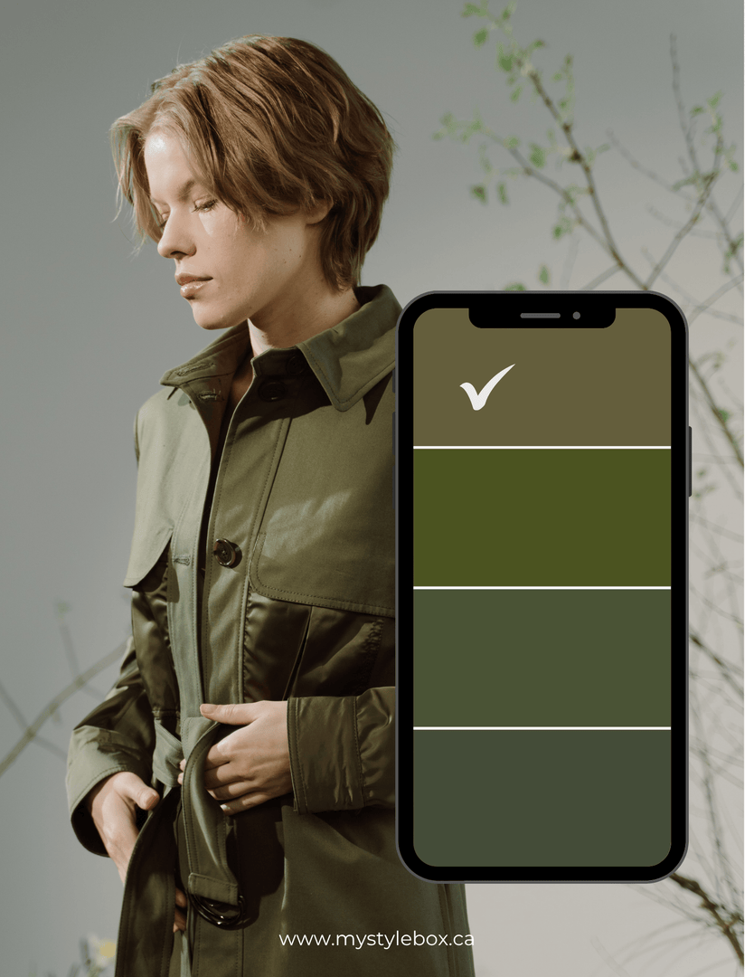 Digital Seasonal Color Analysis Palette