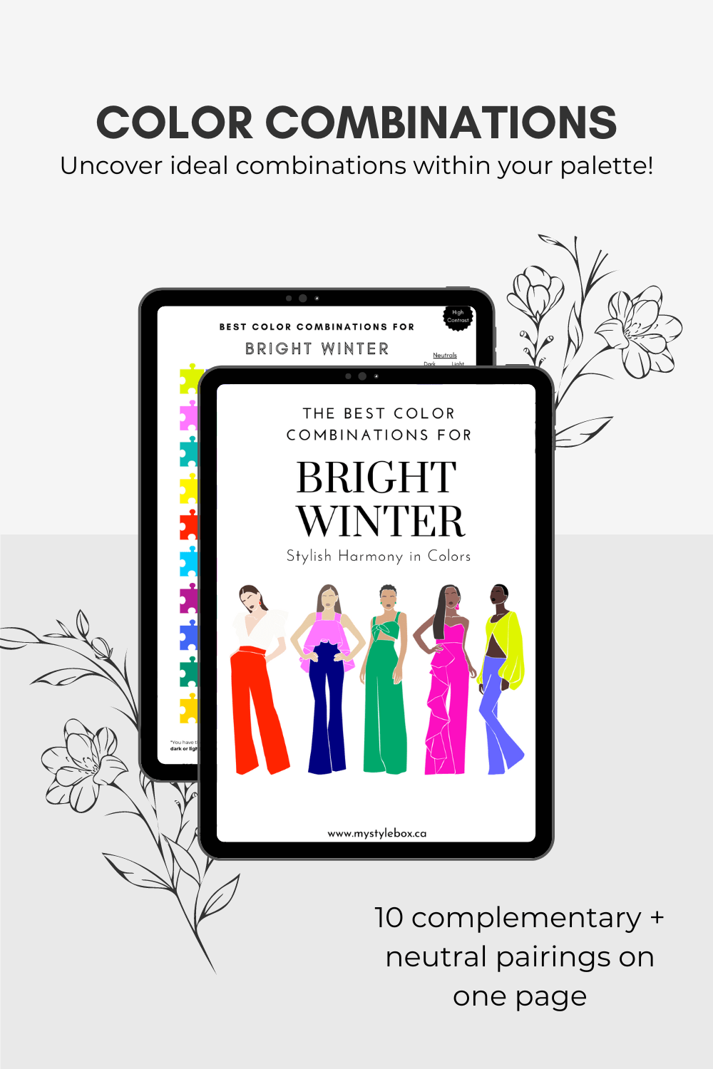 Bright Winter Season Digital Color Palette and Color Combinations