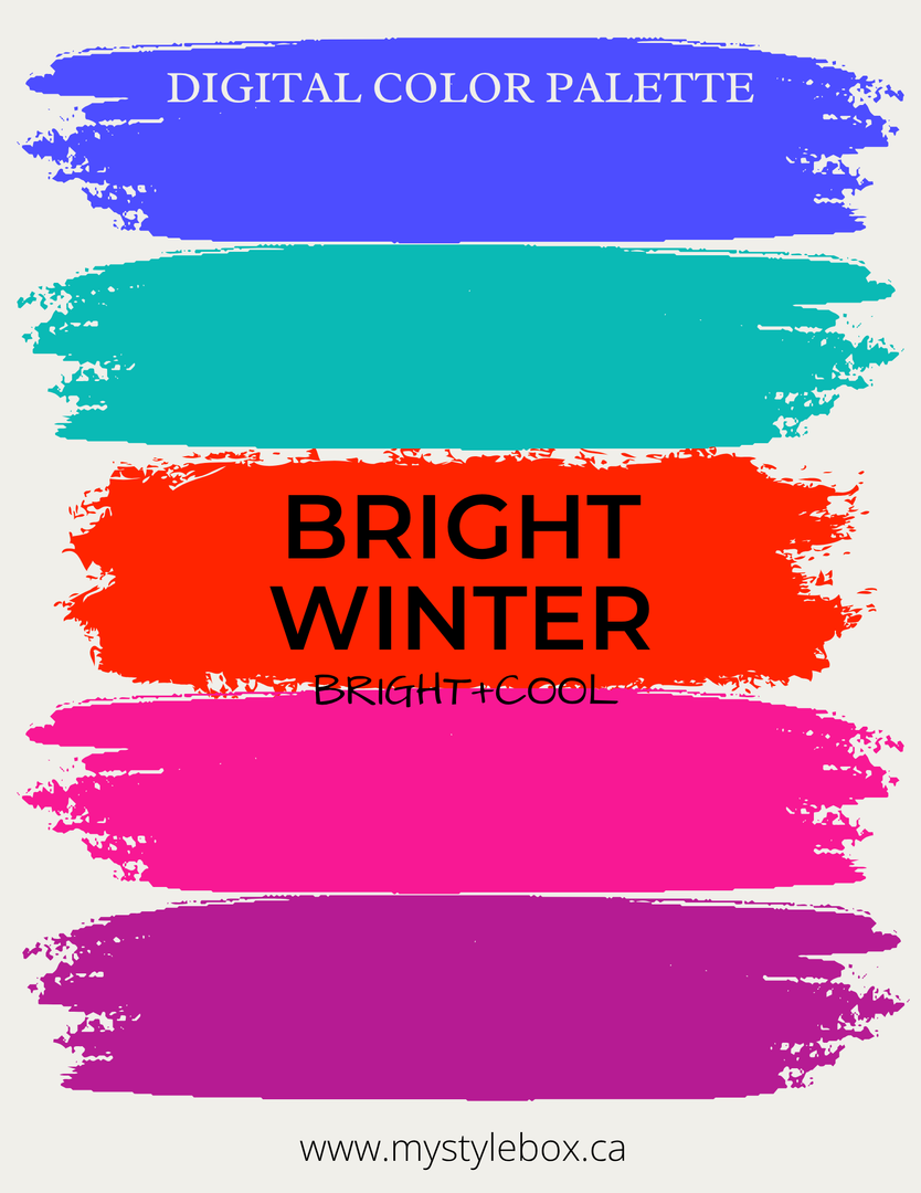 Digital Seasonal Color Analysis Palette