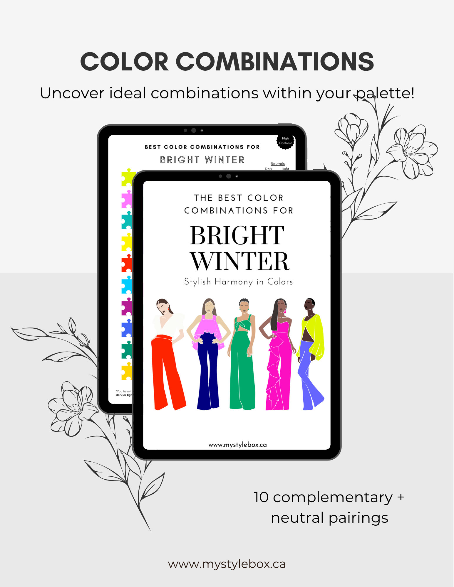 Digital Seasonal Color Palette and Combinations