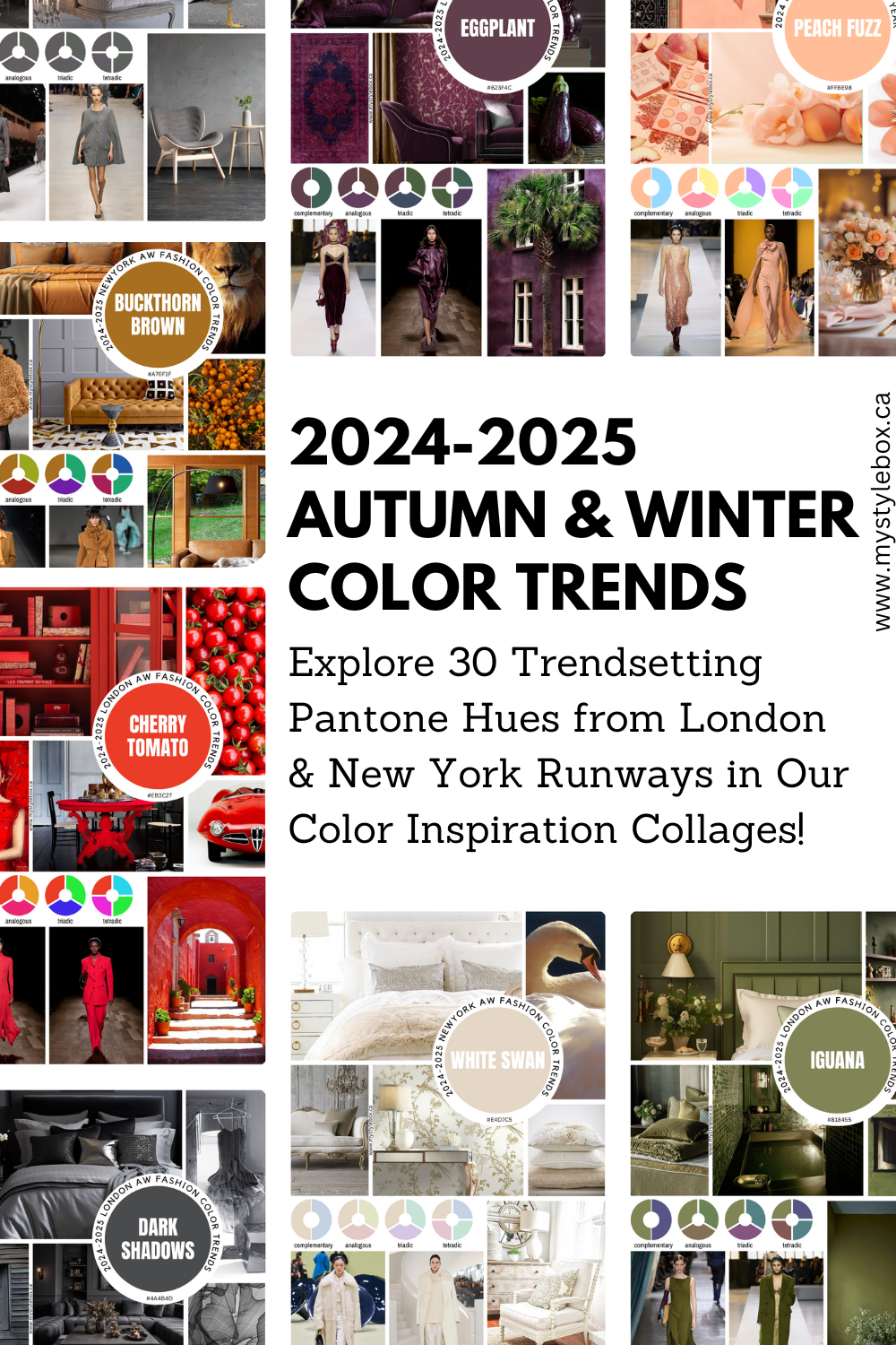 2024-2025 Fall and Winter Fashion Color Trends