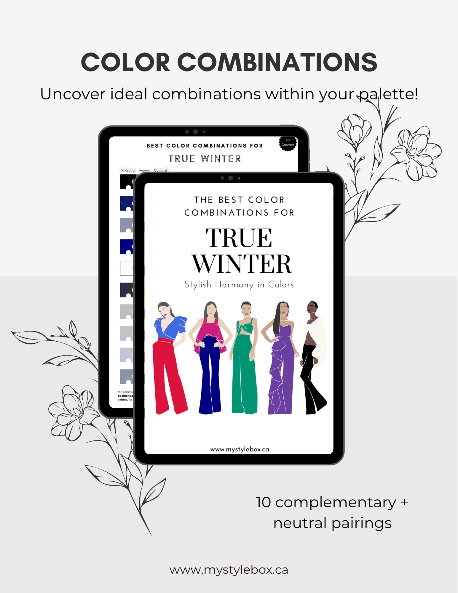 Digital Seasonal Color Palette and Combinations