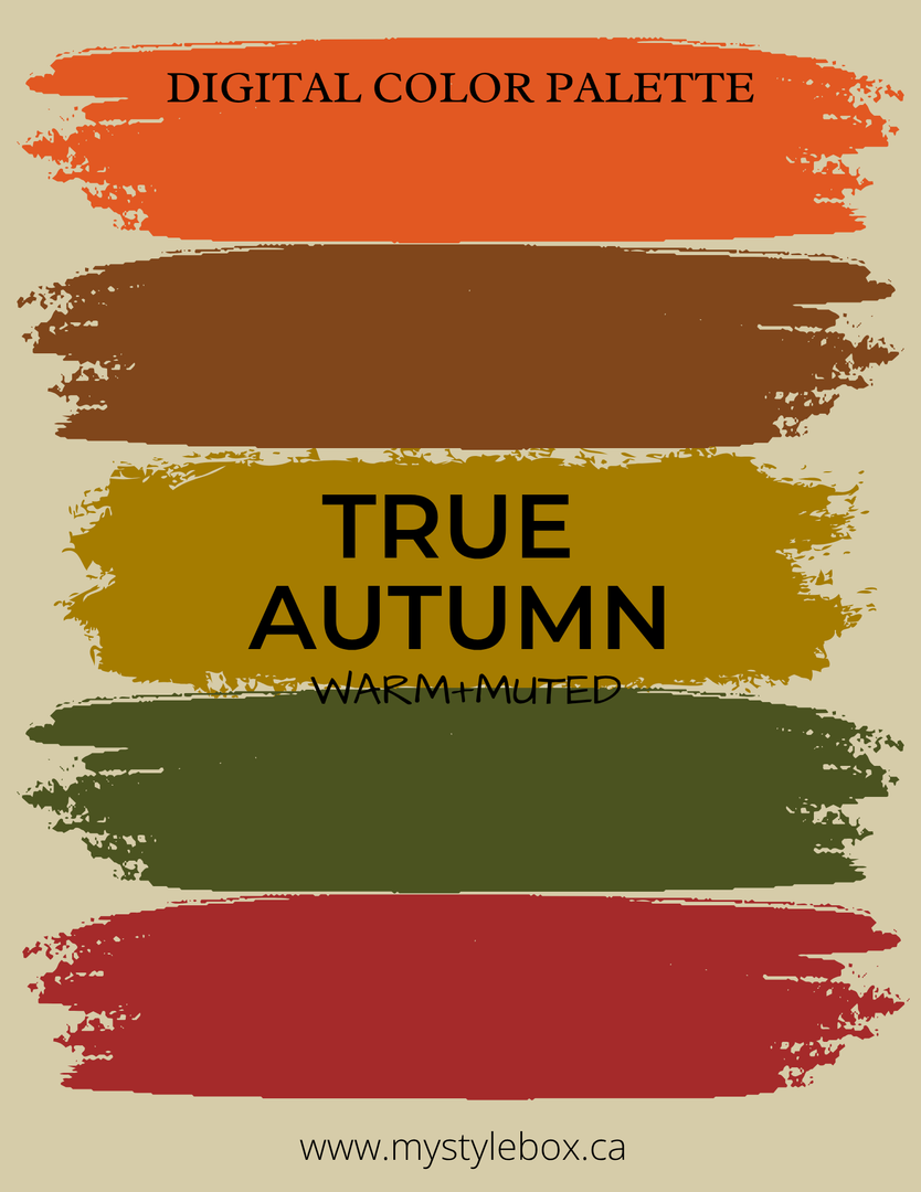 Digital Seasonal Color Analysis Palette