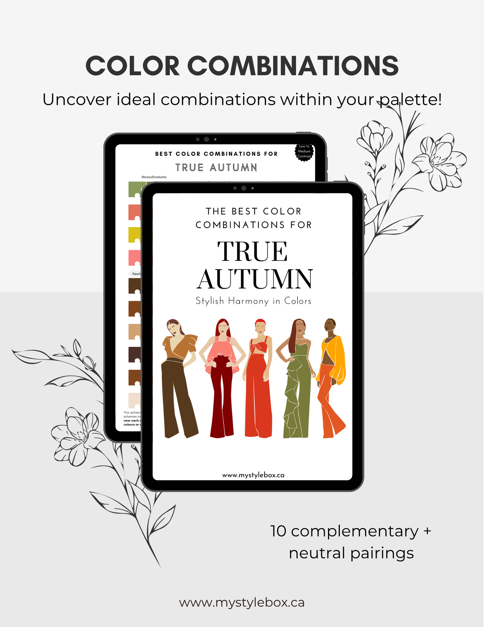 Digital Seasonal Color Palette and Combinations