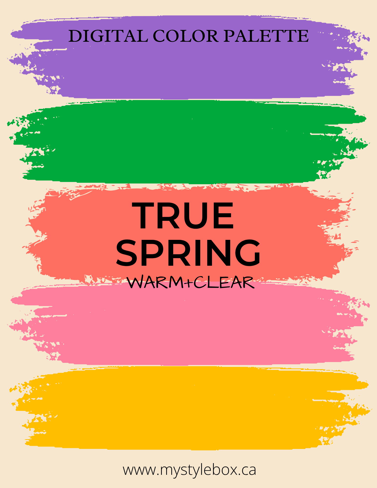 Digital Seasonal Color Palette and Combinations