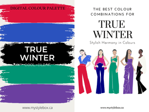 True Winter Season Color Palette and Combinations