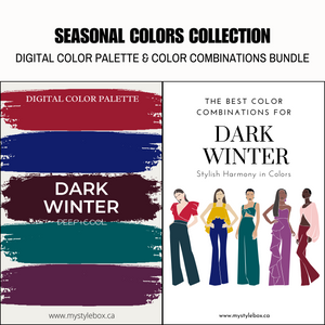 Paquete de paleta de colores digitales y combinaciones de colores de la temporada de invierno oscuro