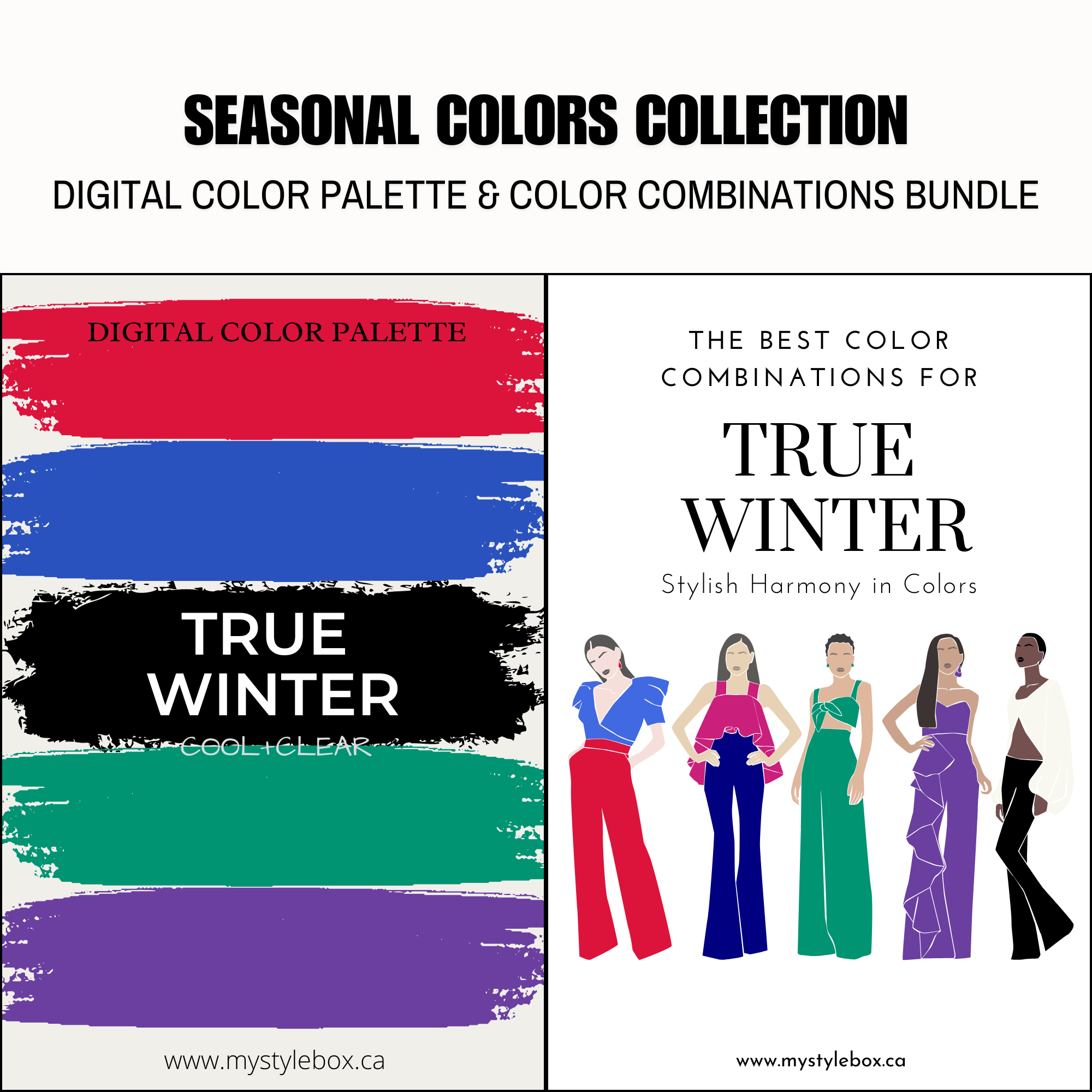 Paquete de paleta de colores digitales y combinaciones de colores True Winter Season