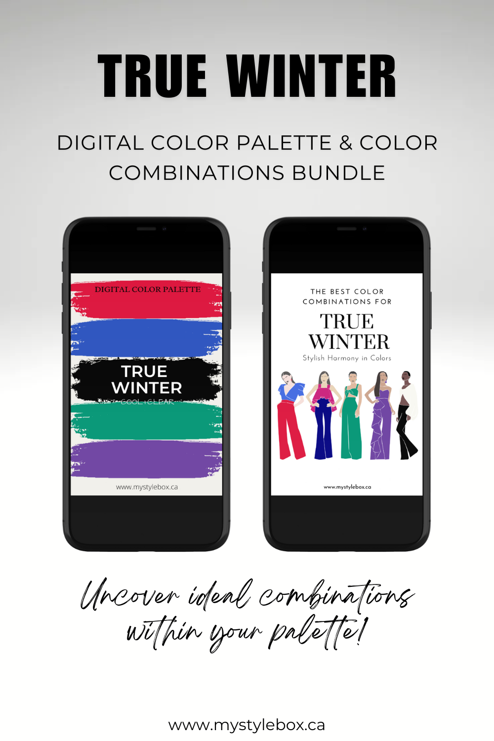 True Winter Season Digital Color Palette and Color Combinations Bundle