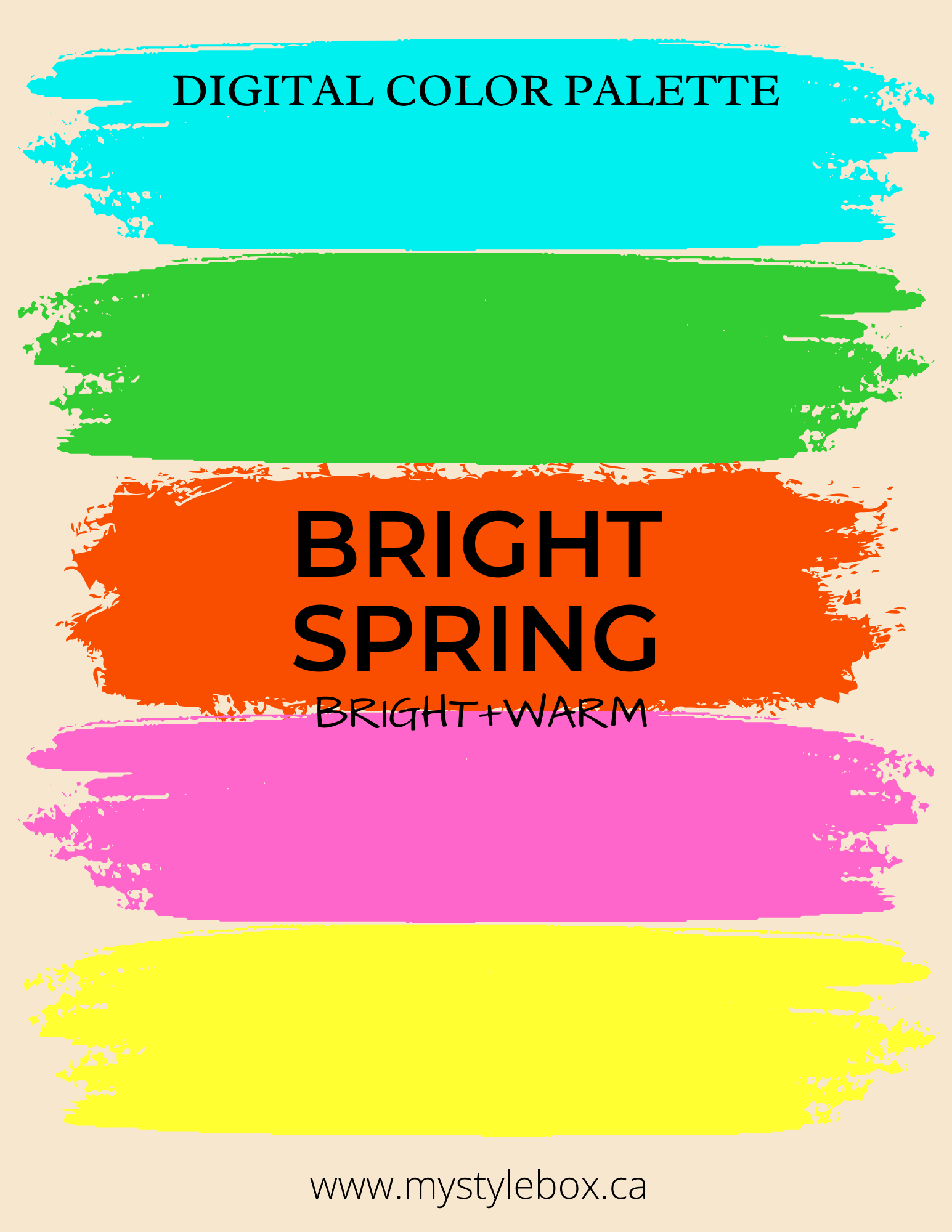 Digital Seasonal Color Analysis Palette