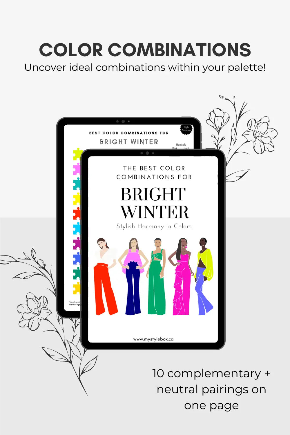 Bright Winter Season Digital Color Palette and Color Combinations Bundle