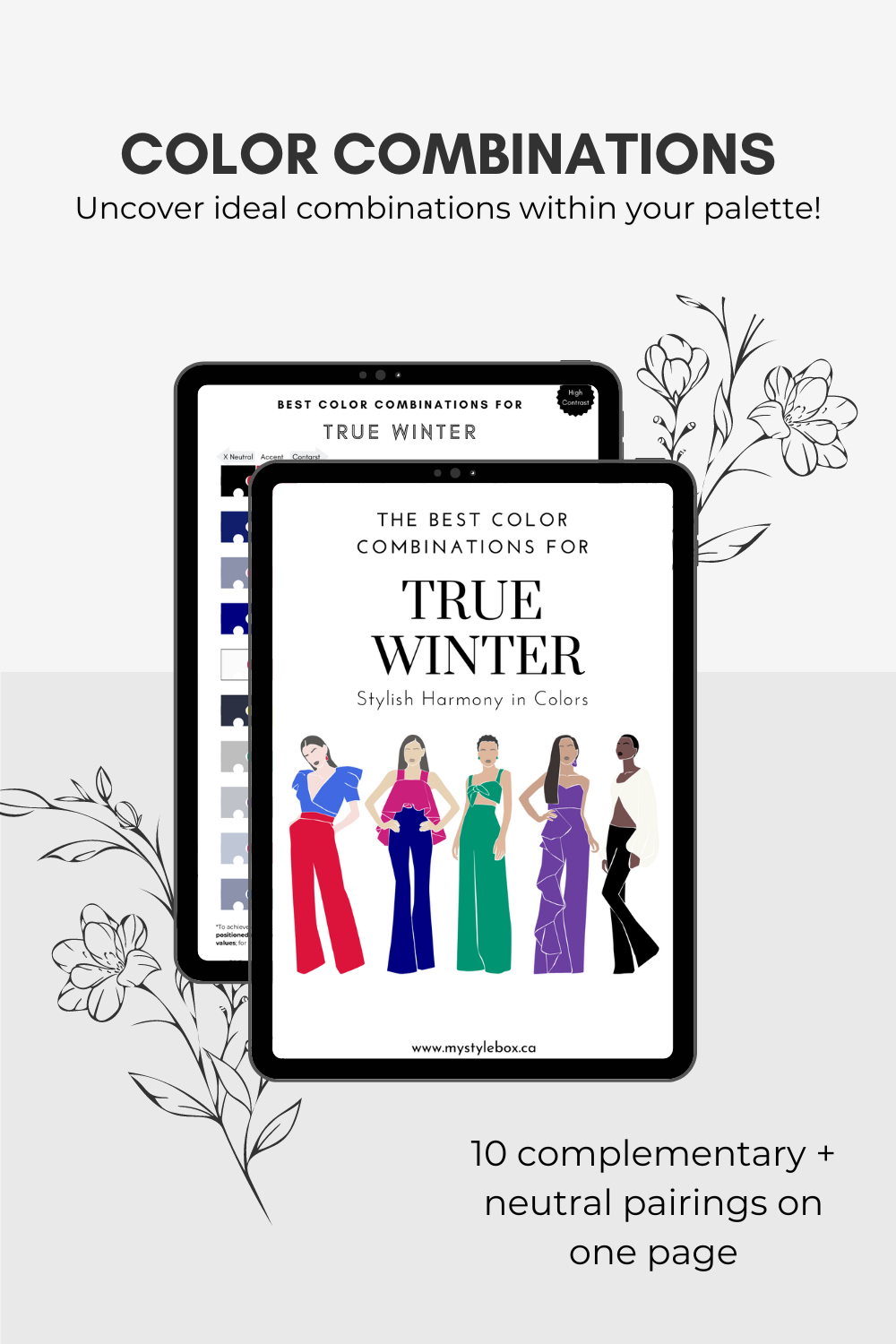 Paquete de paleta de colores digitales y combinaciones de colores True Winter Season