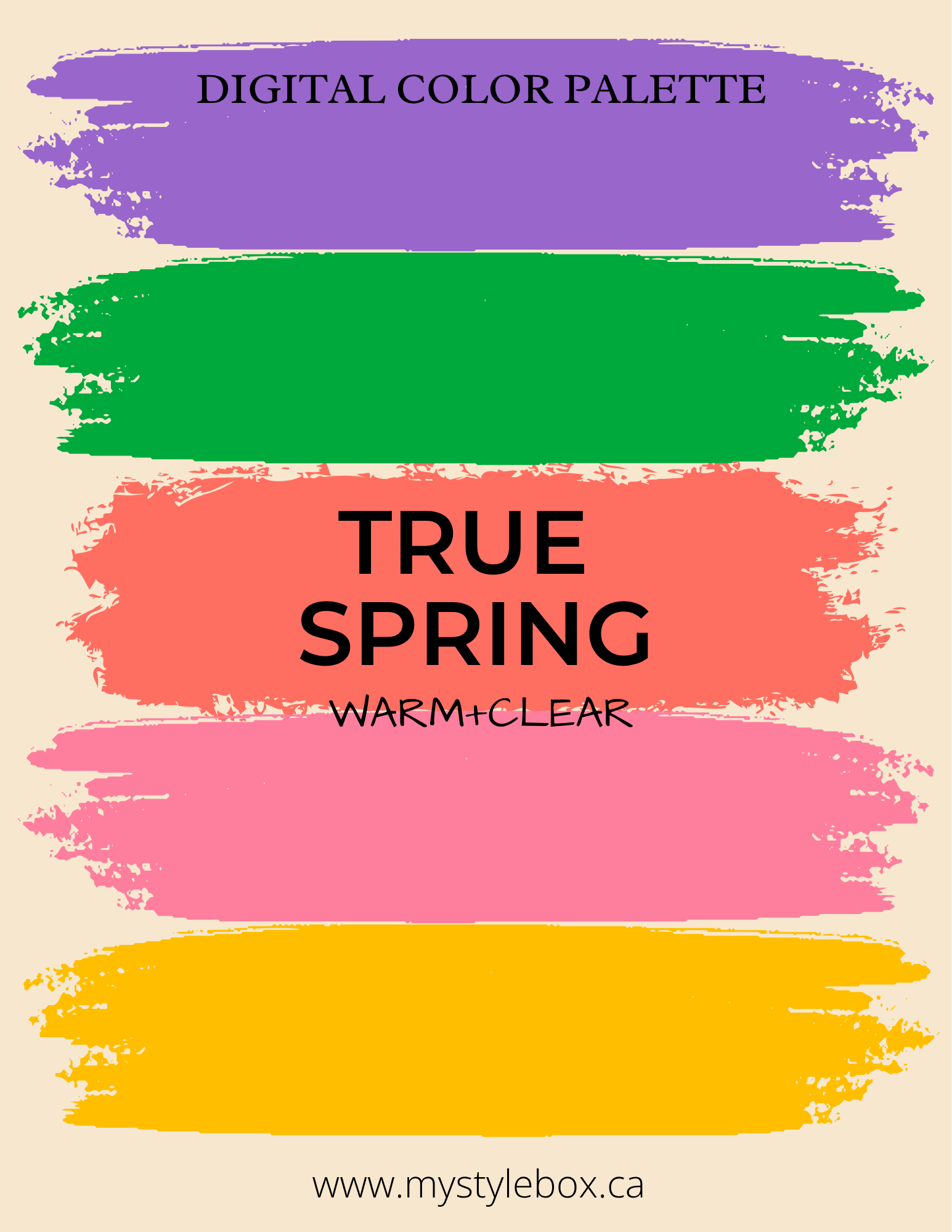 True Spring Digital Color Palette and Hair Color Guide