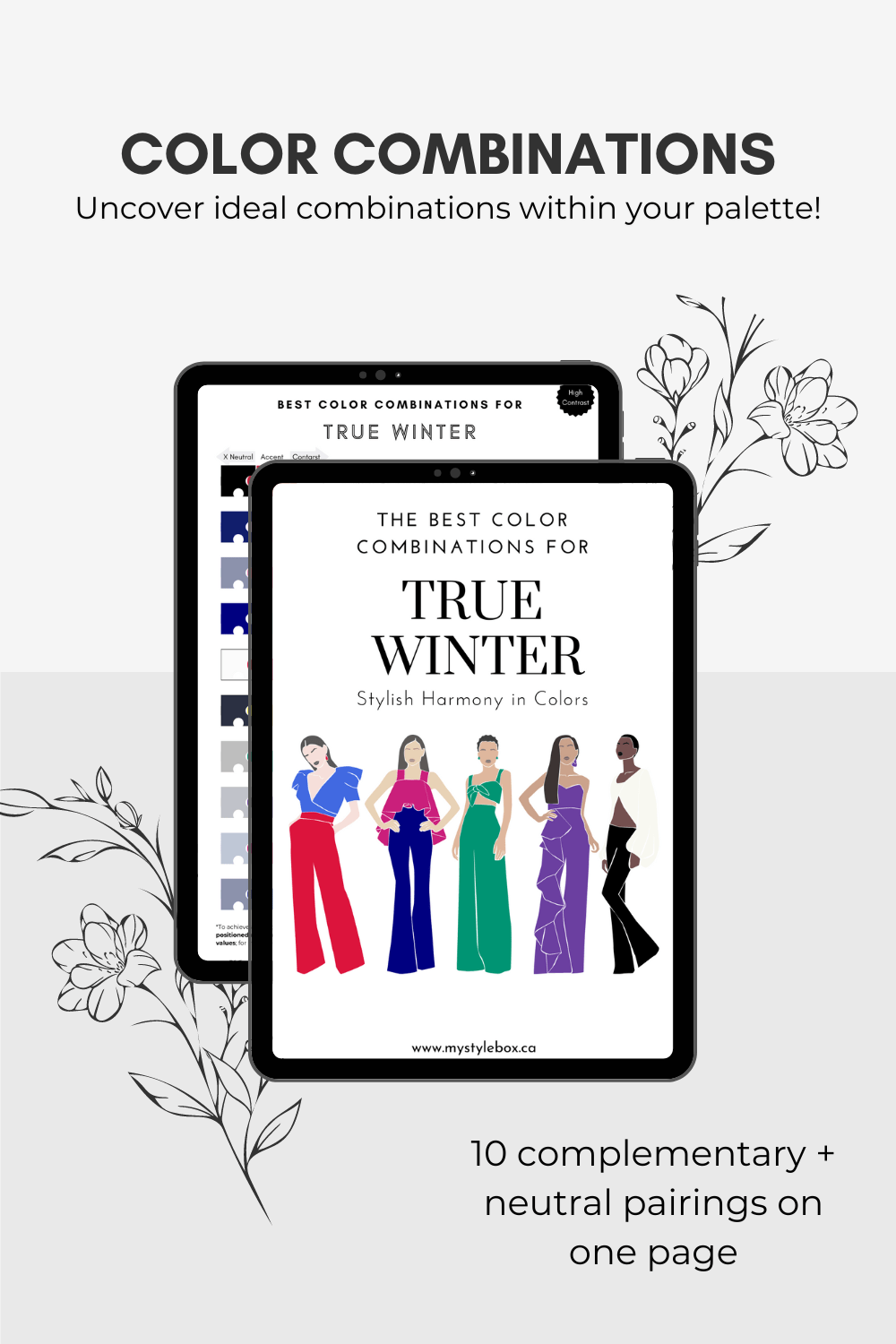 True Winter Season Digital Color Palette and Color Combinations